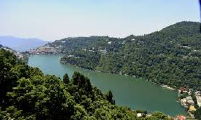 "Unwind Near Nature: Top Tourist Sites Around Redwood Hotels"