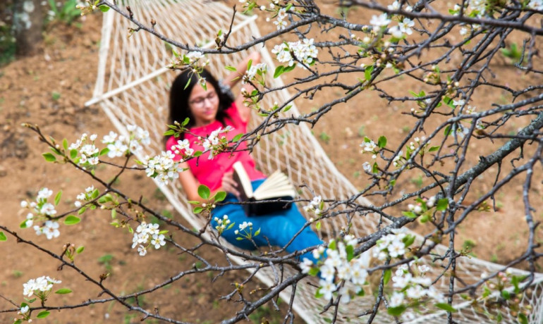 The Foliage at Mukteshwar