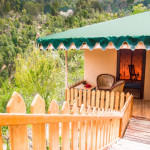 The Foliage at Mukteshwar