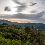 The Foliage at Mukteshwar